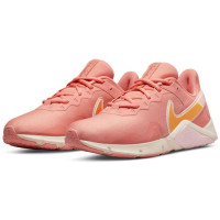 Кроссовки Nike Legend Essential 2 CQ9545-800