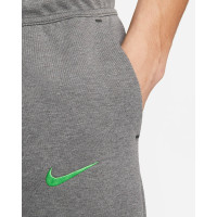 Штани Nike Sportswear Liverpool FC Tech Fleece Joggers DV4834-071
