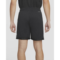 Шорты Jordan Dri-FIT Sport Mesh Shorts DH9077-010