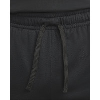 Шорти Jordan Dri-FIT Sport Mesh Shorts DH9077-010