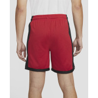 Шорти Jordan Dri-FIT Sport Mesh Shorts DH9077-687