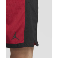 Шорти Jordan Dri-FIT Sport Mesh Shorts DH9077-687