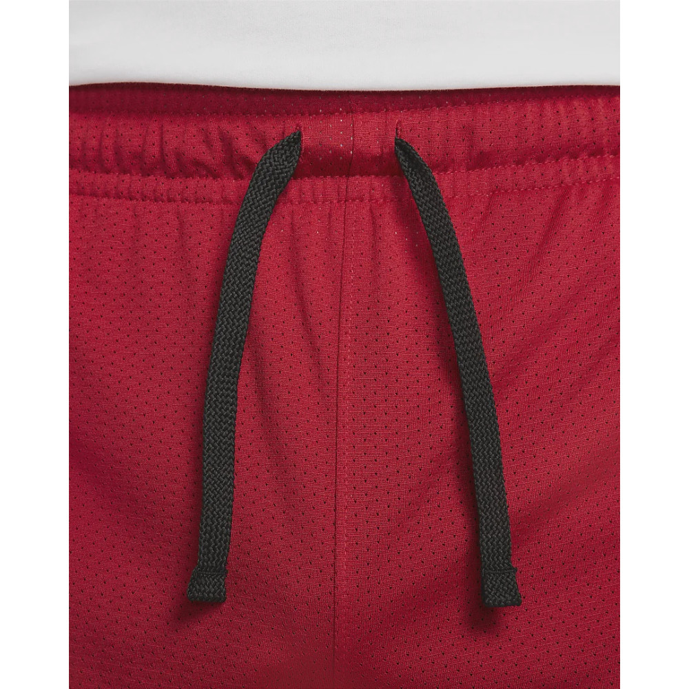 Шорти Jordan Dri-FIT Sport Mesh Shorts DH9077-687