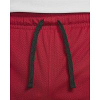 Шорти Jordan Dri-FIT Sport Mesh Shorts DH9077-687