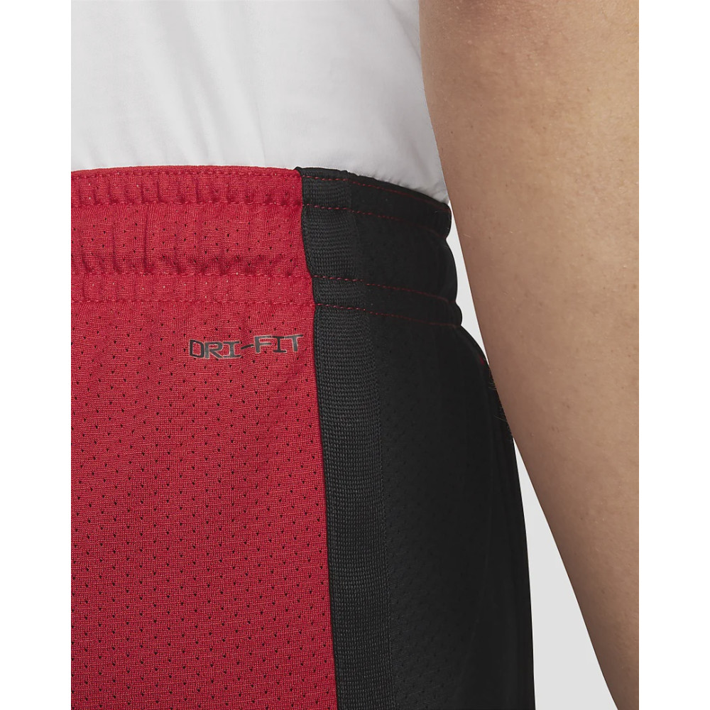 Шорти Jordan Dri-FIT Sport Mesh Shorts DH9077-687
