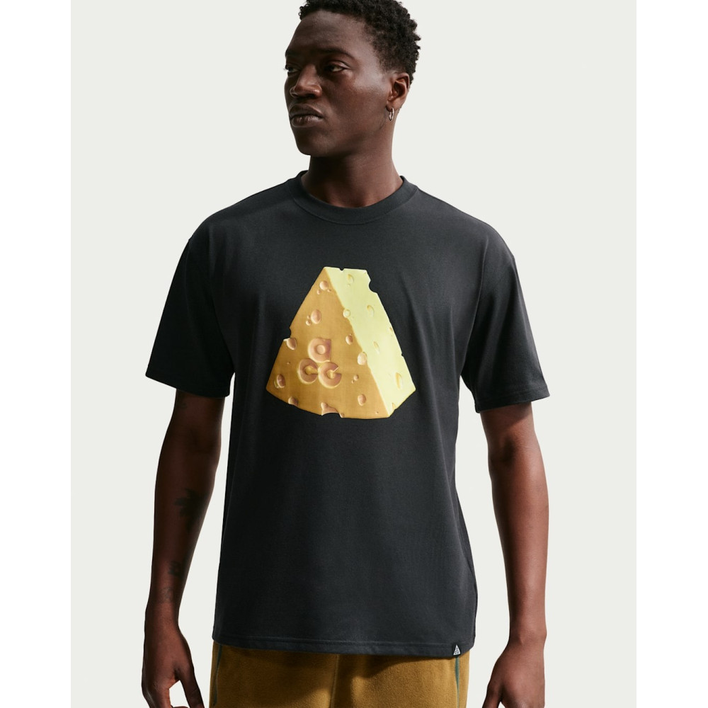 Футболка Nike ACG Dri-Fit Acheeseg Tee IH1316-010