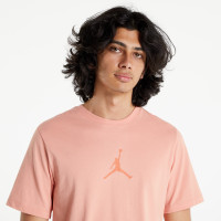 Футболка Jordan Jumpman SS Crew CW5190-824