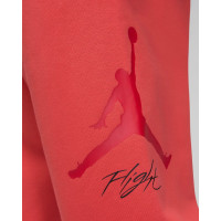 Штани Jordan Essential Baseline Fleece Pant FD7345-604