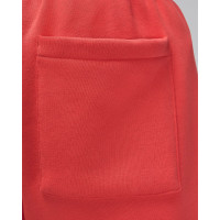 Штани Jordan Essential Baseline Fleece Pant FD7345-604