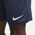 Шорты Nike Dri-Fit Park 20 Short CW6152-451