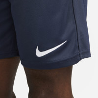 Шорты Nike Dri-Fit Park 20 Short CW6152-451