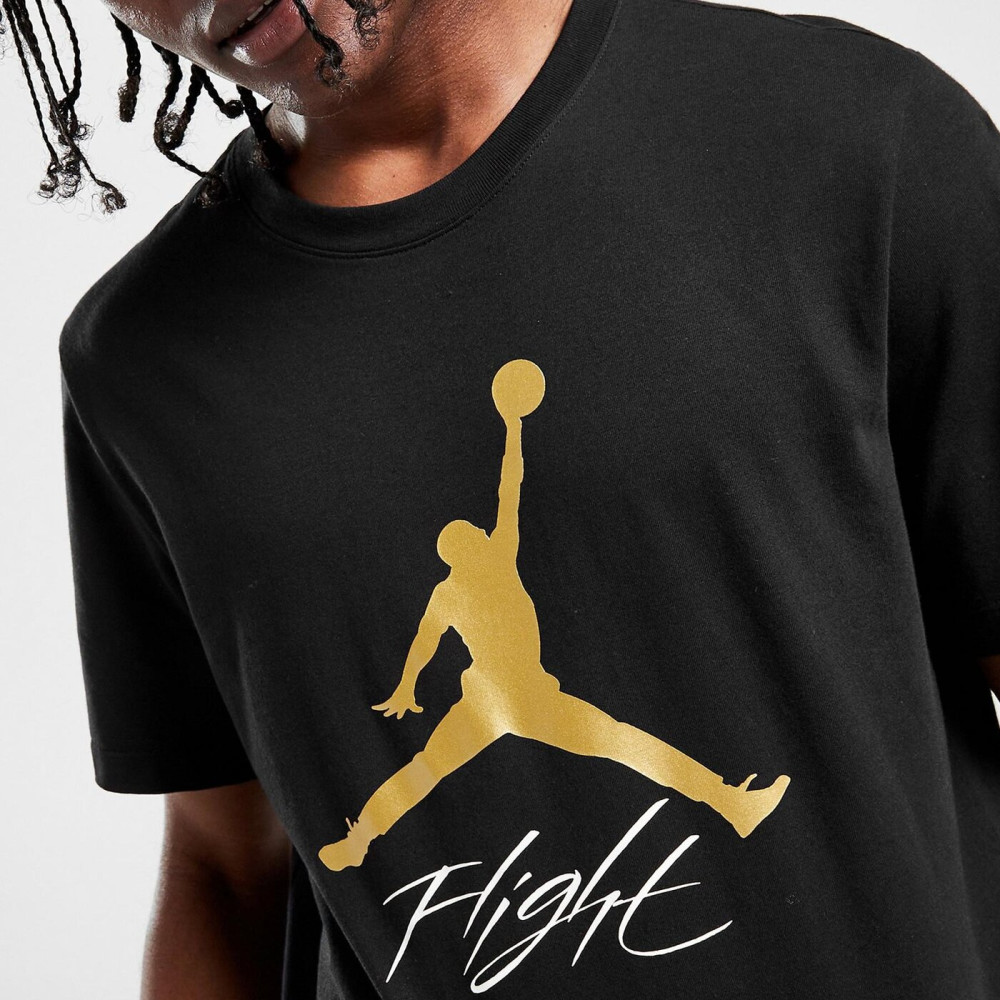 Футболка Jordan Jumpman Flight Tee AO0664-011
