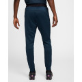 Штаны Nike Sportswear Air Max Jogger HF6599-478