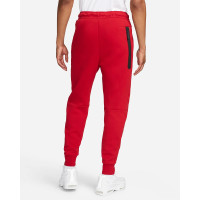 Штаны Nike Sportswear Tech Fleece Joggers CU4495-687