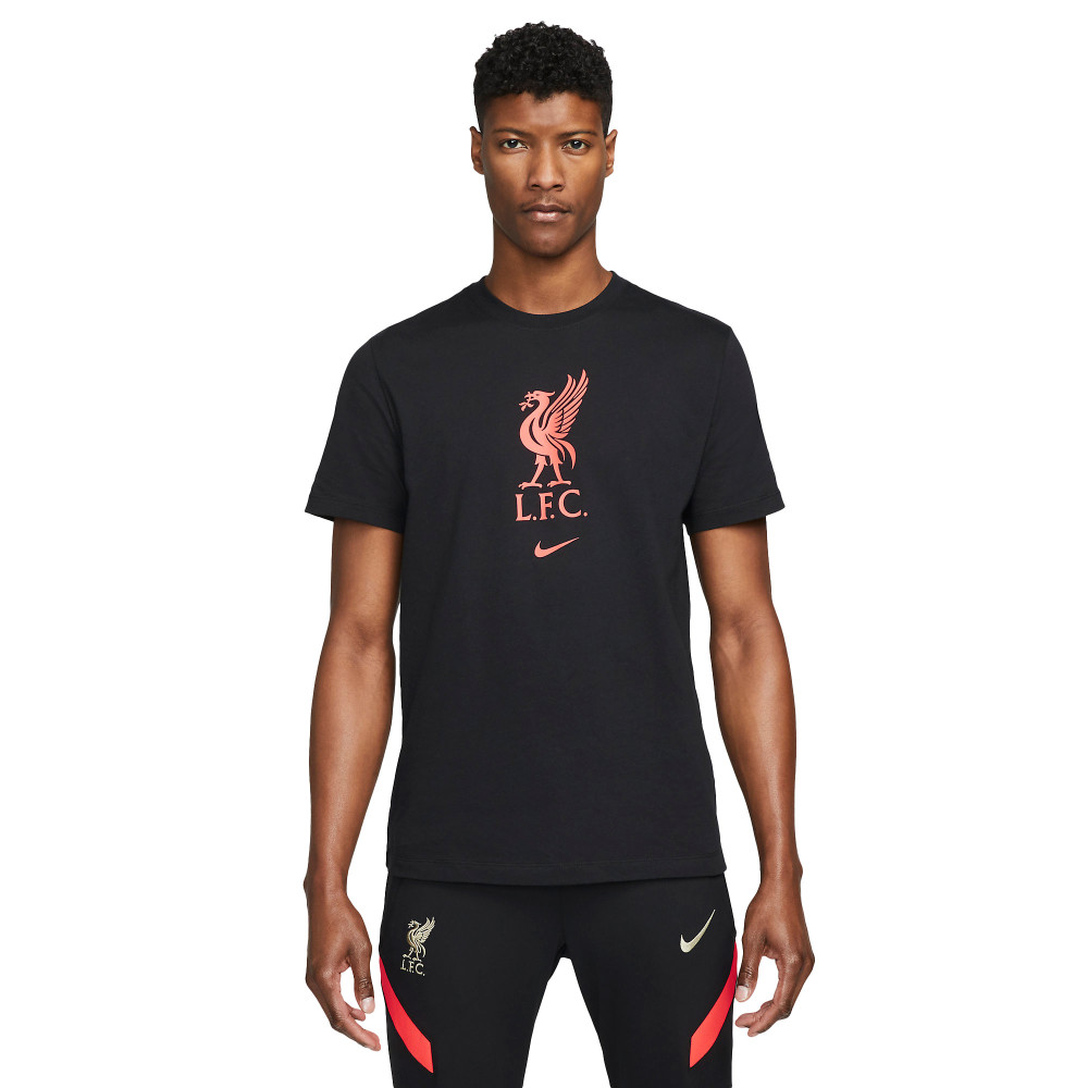 Футболка Nike Liverpool FC Tee Crest DM3482-010