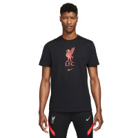 Футболка Nike Liverpool FC Tee Crest DM3482-010