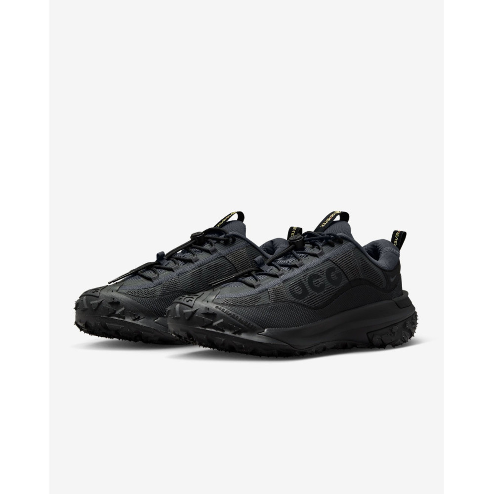 Кросівки Nike ACG Mountain Fly 2 Low Gore-Tex HF6245-001
