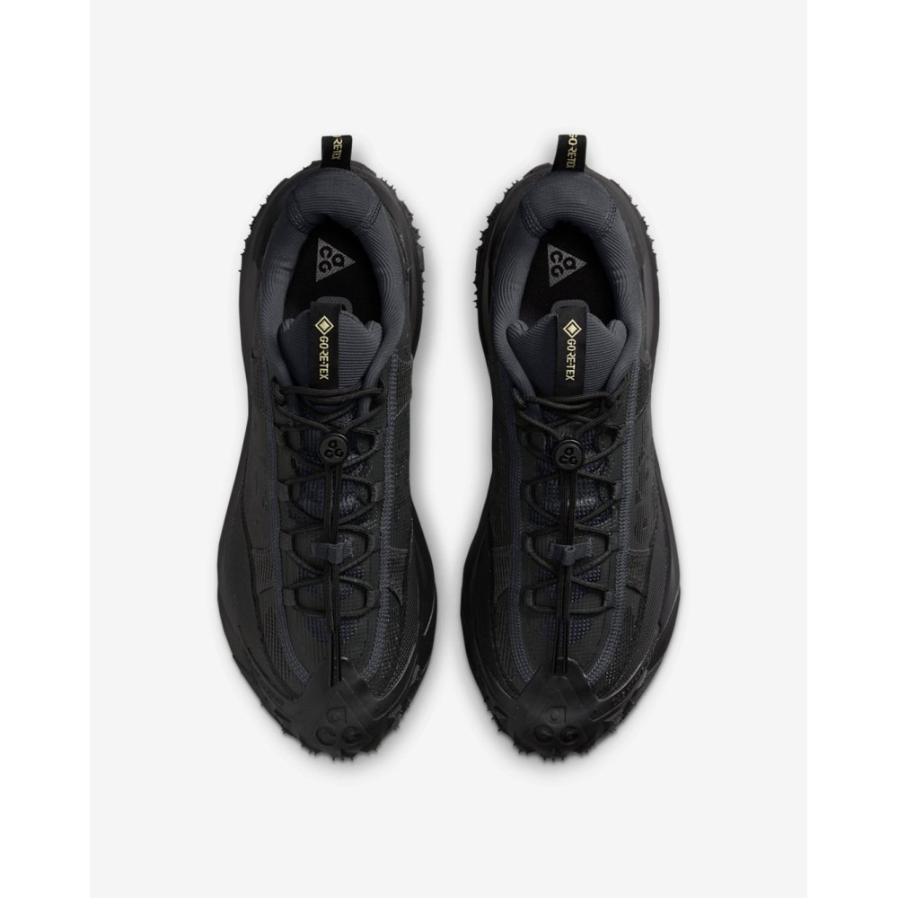 Кросівки Nike ACG Mountain Fly 2 Low Gore-Tex HF6245-001