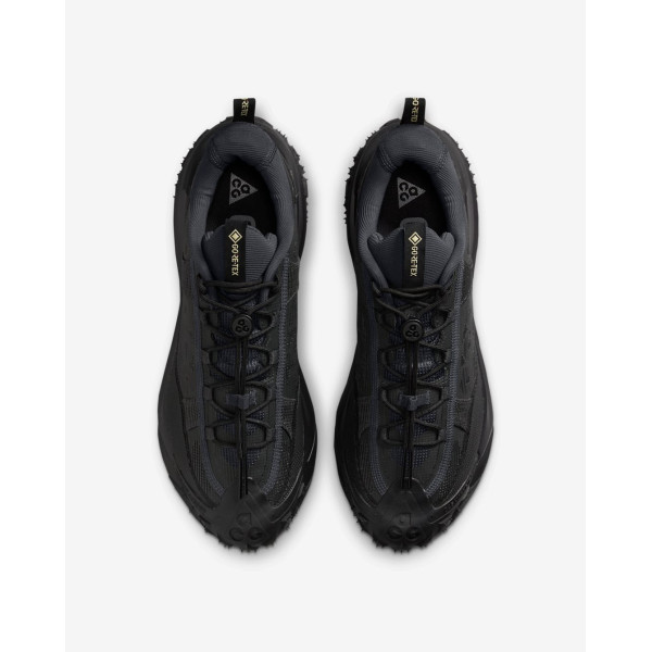 Кросівки Nike ACG Mountain Fly 2 Low Gore-Tex HF6245-001