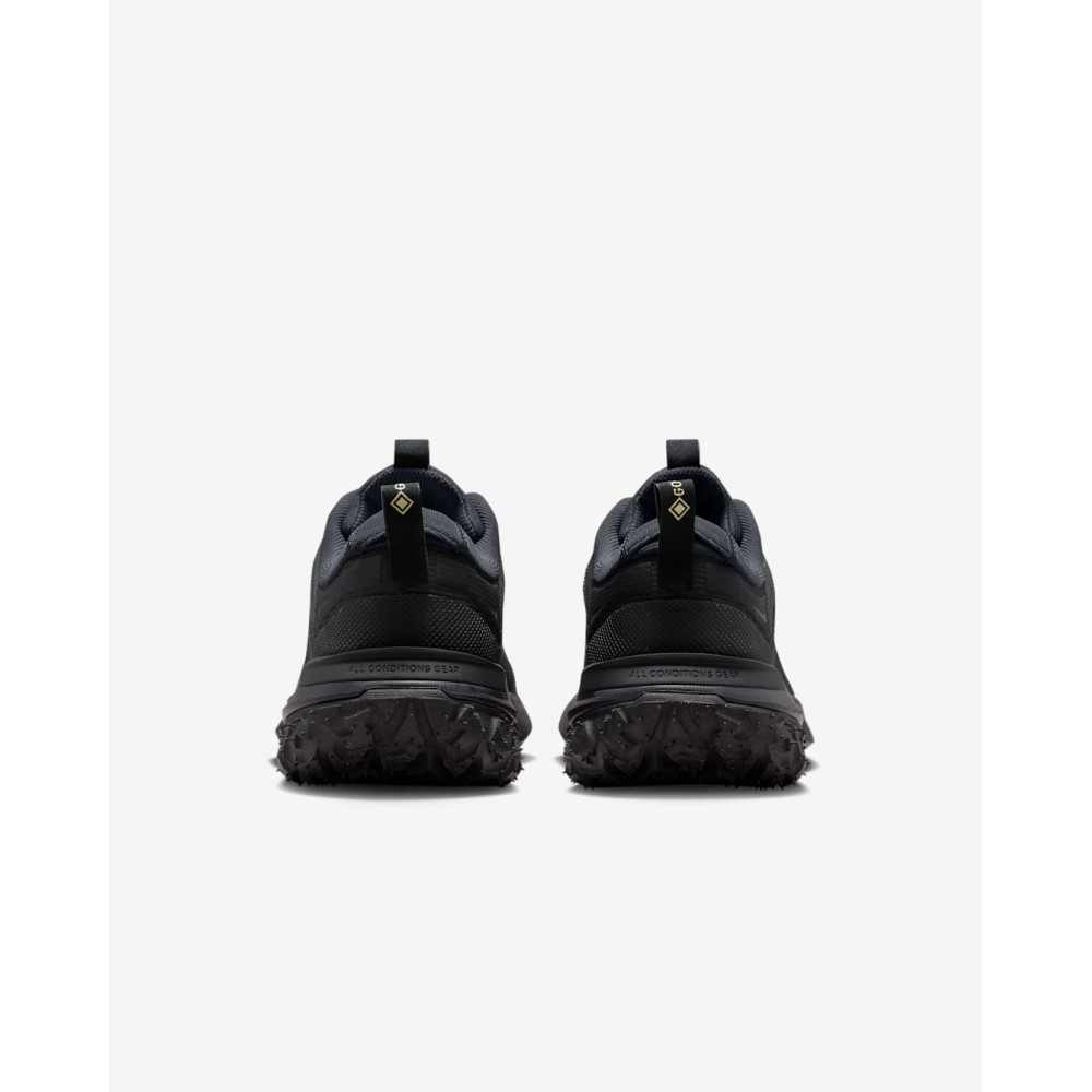 Кросівки Nike ACG Mountain Fly 2 Low Gore-Tex HF6245-001