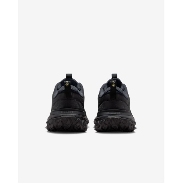 Кросівки Nike ACG Mountain Fly 2 Low Gore-Tex HF6245-001