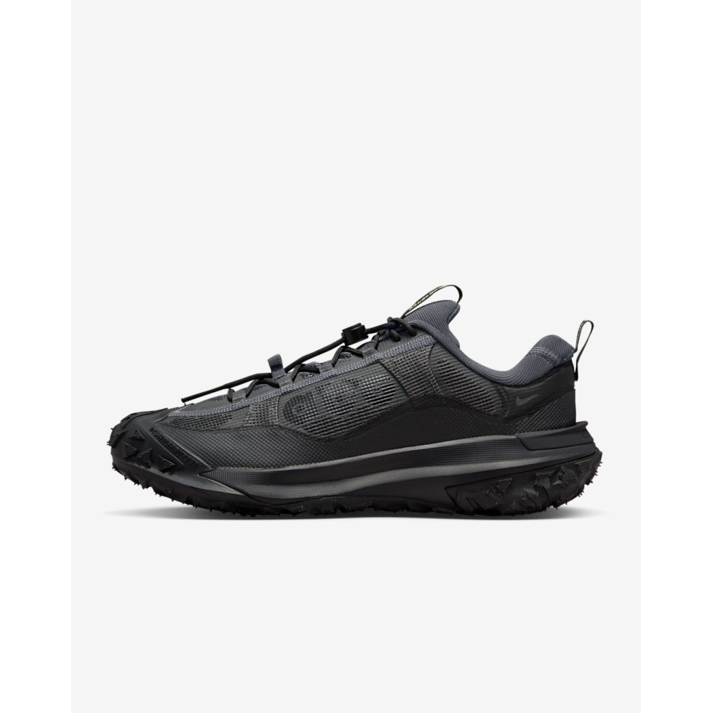 Кросівки Nike ACG Mountain Fly 2 Low Gore-Tex HF6245-001