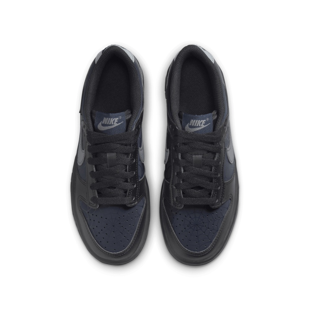Кросівки Nike Dunk Low HQ3815-001