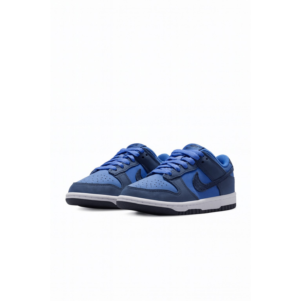Кросівки Nike Dunk Low HQ9293-400
