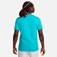 Футболка Nike Tee Icon Swoosh DC5094-345