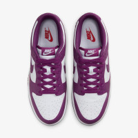 Кросівки Nike Dunk Low Retro DV0833-107