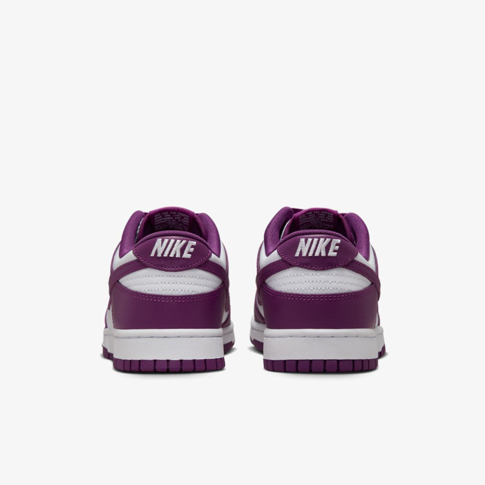 Кросівки Nike Dunk Low Retro DV0833-107