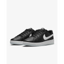 Кросівки Nike Court Royale 2 Next Nature DH3159-001 (немає в наявності)