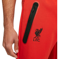 Штаны Nike Liverpool FC Tech Fleece Pant DD9725-612