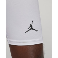 Термо шорти Jordan Dri-FIT Compression Shorts DM1813-100