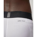 Термо шорты Jordan Dri-FIT Compression Shorts DM1813-100