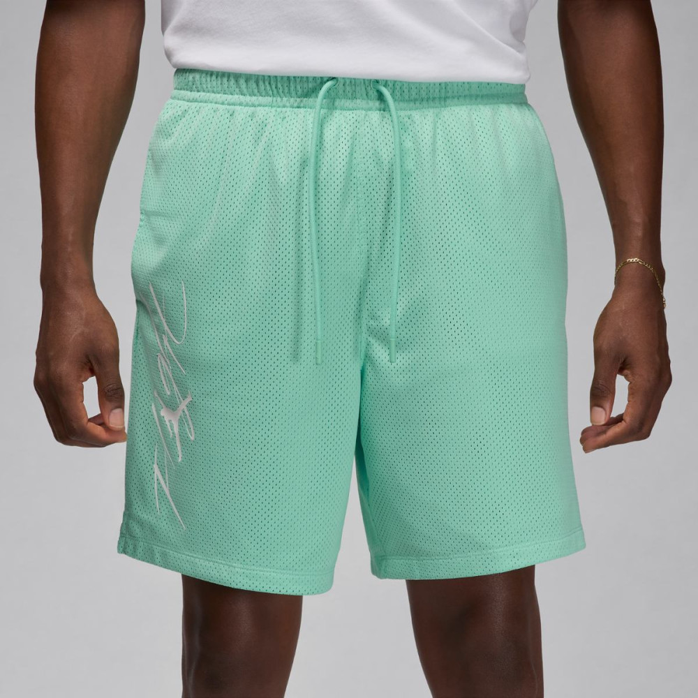 Шорти Jordan Essentials Shorts FN4647-349