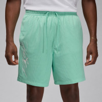 Шорты Jordan Essentials  Shorts FN4647-349