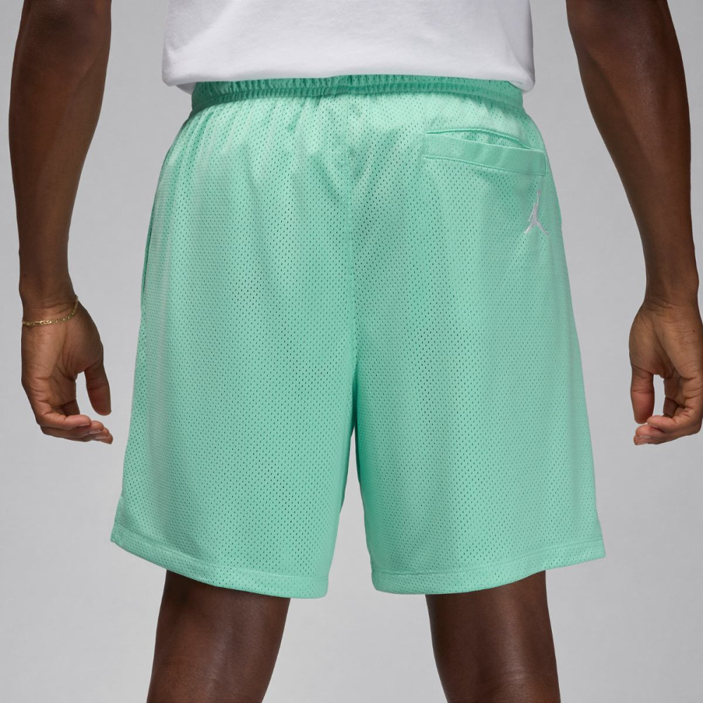 Шорты Jordan Essentials  Shorts FN4647-349