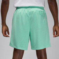 Шорты Jordan Essentials  Shorts FN4647-349