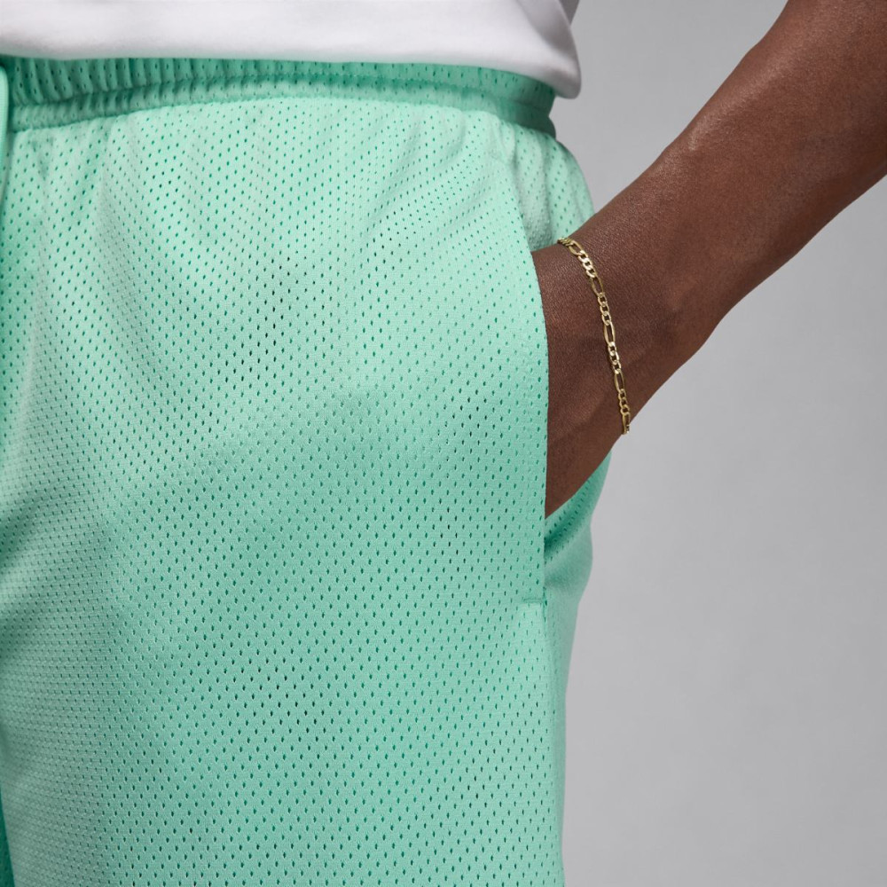 Шорти Jordan Essentials Shorts FN4647-349