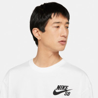 Футболка Nike SB Logo Tee DC7817-100