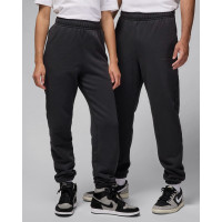 Штани Air Jordan Washed Fleece Pant FZ3954-045