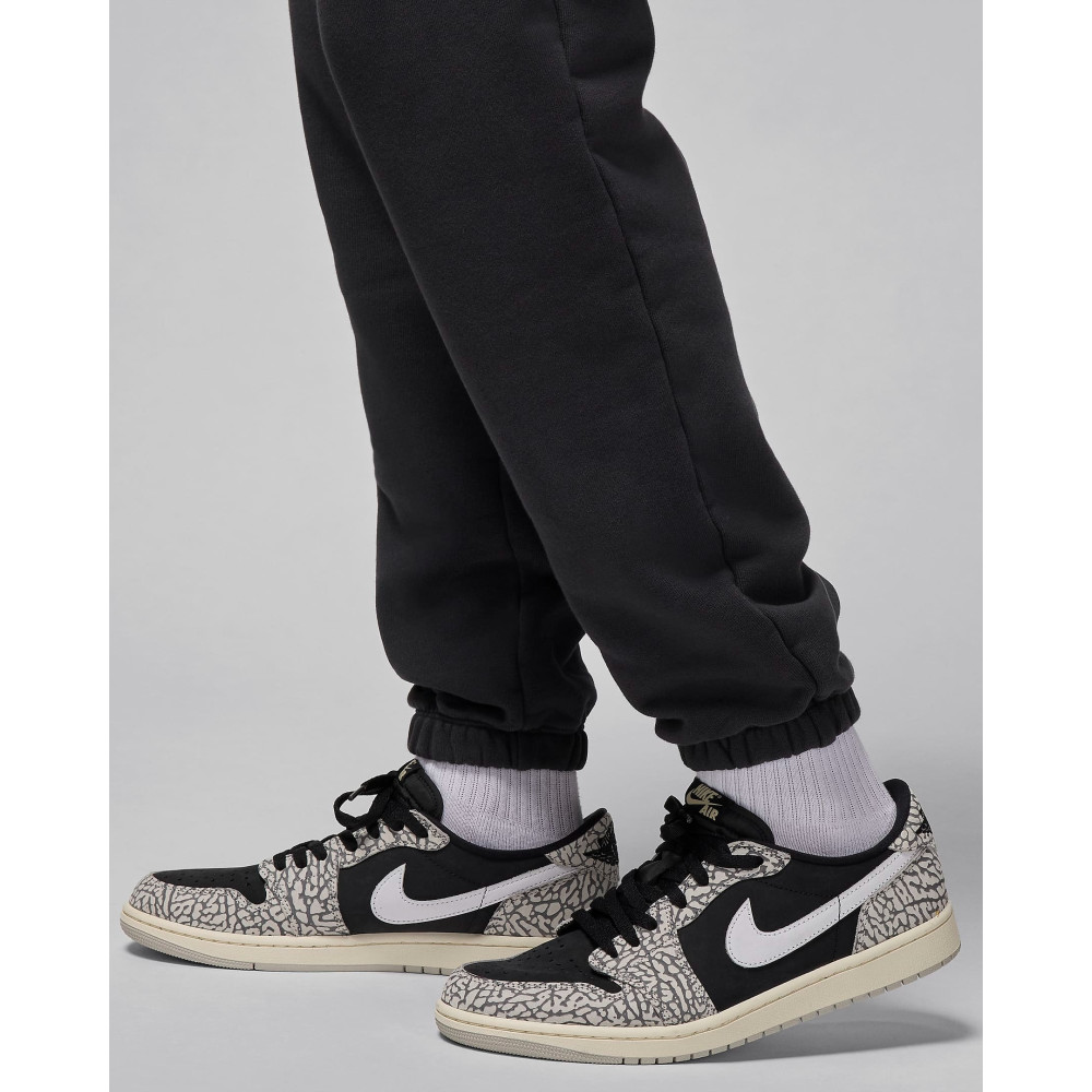 Штани Air Jordan Washed Fleece Pant FZ3954-045