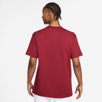 Футболка Nike Sportswear Premium Essential Tee IH1121-613