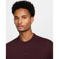 Футболка Nike Sportswear Premium Essential Tee DO7392-652