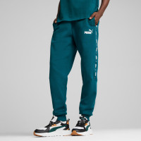 Штани Puma Essential Tape Pants 849042-08