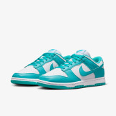 Кросівки Nike Dunk Low DD1873-105