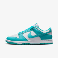 Кросівки Nike Dunk Low DD1873-105