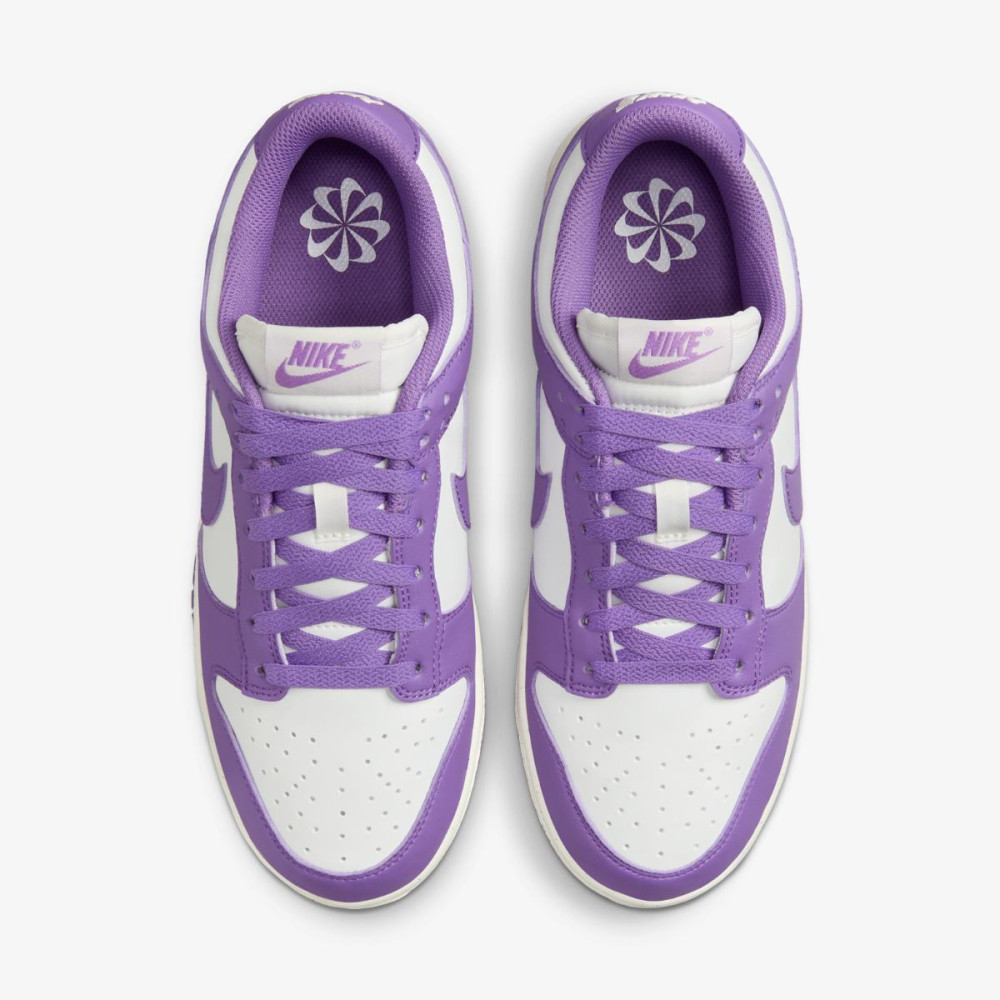 Кросівки Nike Dunk Low DD1873-108