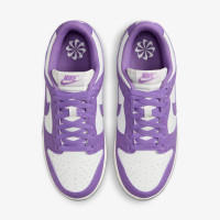 Кросівки Nike Dunk Low DD1873-108